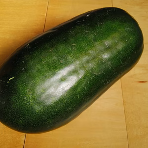 冬瓜 (トウガン) 4kg前後１個【完熟秋どり】