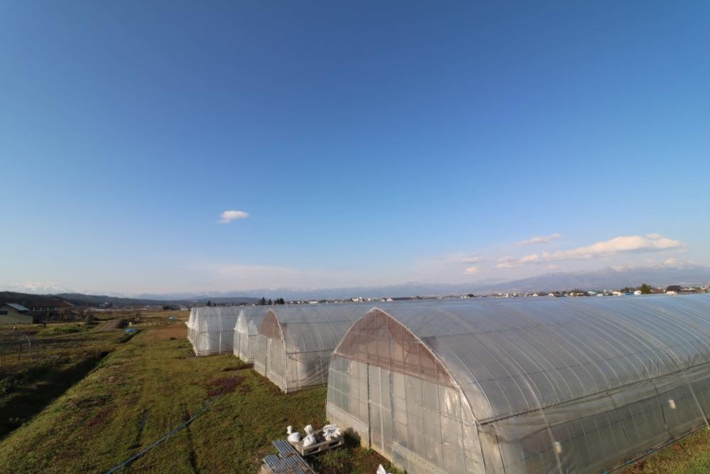 ふるさとの農家直送 野菜セット🚃47都道府県178区市町村を掲載中