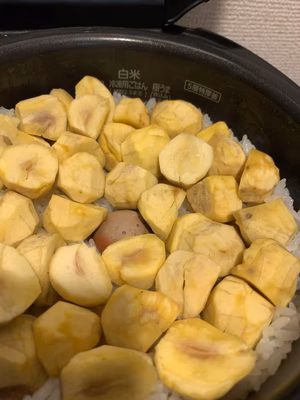 みんなの投稿の画像