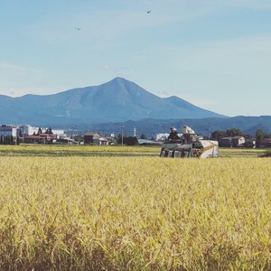 福島県会津産コシヒカリ5kg