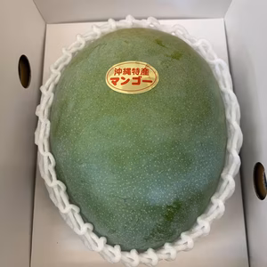 沖縄・宜野座育ちのキーツマンゴー【１玉　約８００グラム〜】