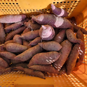 群馬県産　紅はるか　5ｋｇ