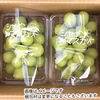 【家庭用】シャインマスカット約1kg（2房分）9月中旬より#NGM0B010