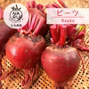 ビーツ | Beets【農薬・化学肥料不使用】1.7kg