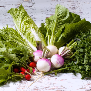 朝どれ野菜セット【農薬・化学肥料不使用】