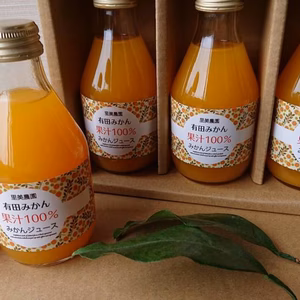 100％みかんジュース(無添加)180ml 9本入り