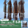 特大サイズ　5枚　肉厚‼︎　　一夜干しスルメイカ　津軽海峡