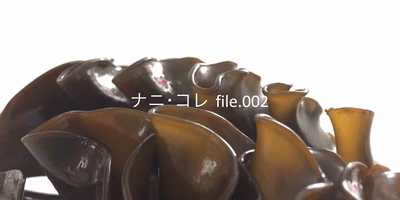 ある日突然メカブが家にやってきても戸惑わないための指南書