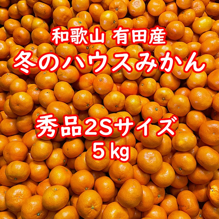 【越冬完熟早生・秀品・２Ｓサイズ・5㎏】和歌山有田産！冬のハウスみかん
