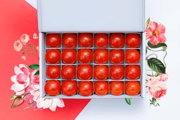 【母の日ギフト♪】⭐高糖度フルーツトマト⭐『ポモロッサ24粒入』※2月２０日販売