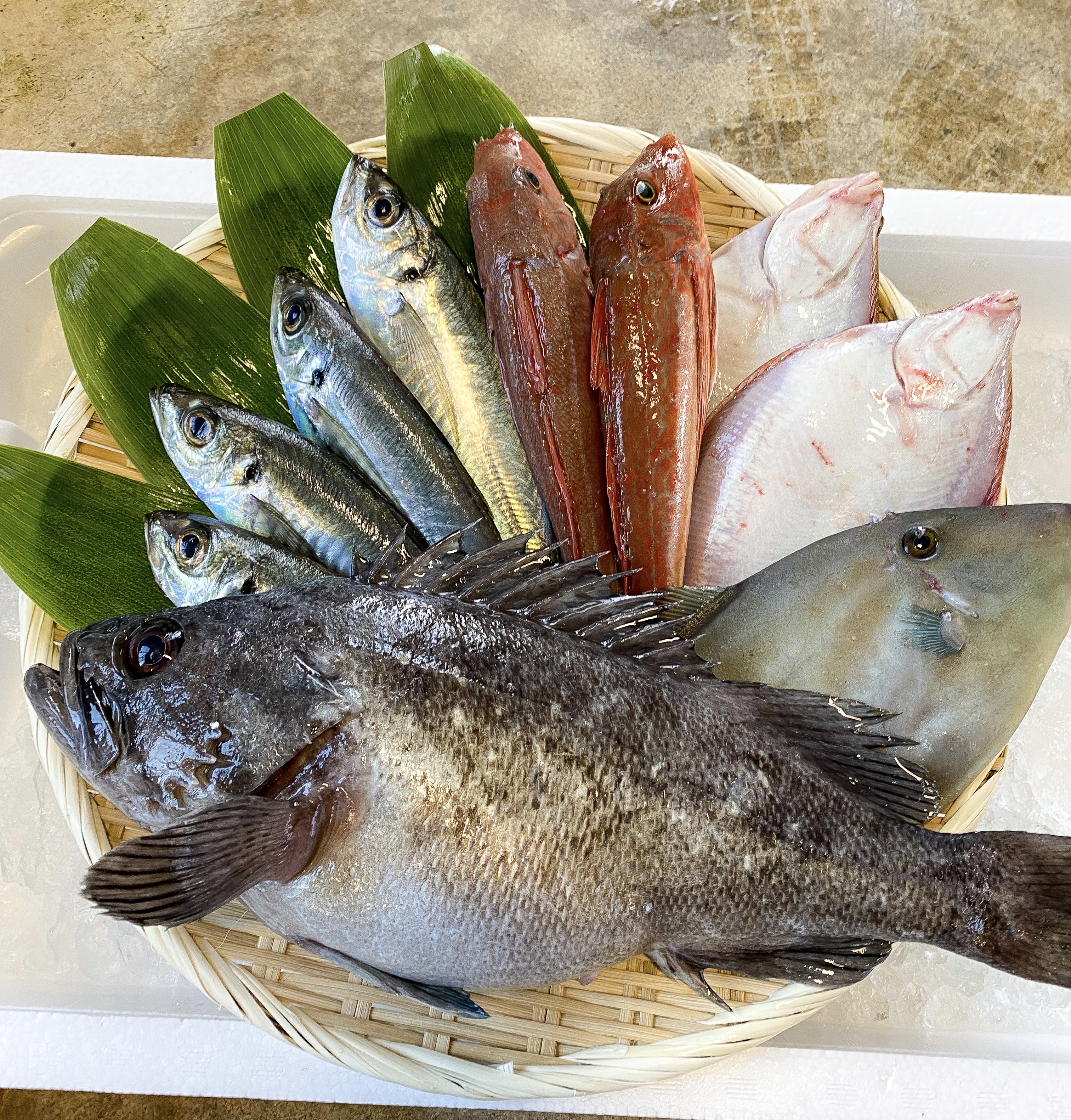 元魚屋が厳選 お魚たくさん めっちゃ幸せボックス 活け締め 農家漁師から産地直送の通販 ポケットマルシェ