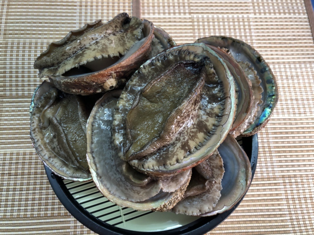 1 2キロから1 5キロ分訳あり白アワビ 農家漁師から産地直送の通販 ポケットマルシェ