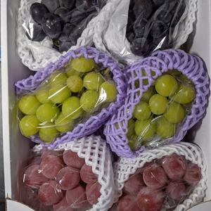 ぶどうの詰め合わせ