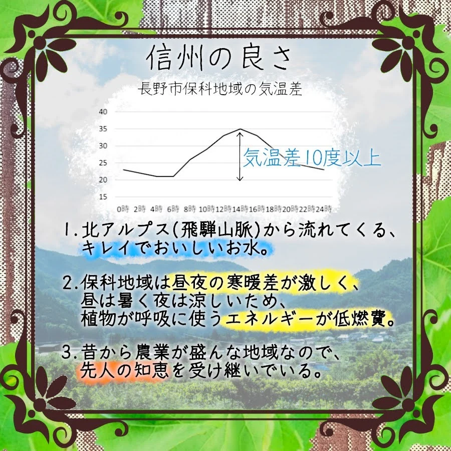 先行予約】信州長野県産 シナノゴールド６玉 ギフトボックス｜果物の商品詳細｜ポケットマルシェ｜産直(産地直送)通販 旬の果物・野菜・魚介をお取り寄せ