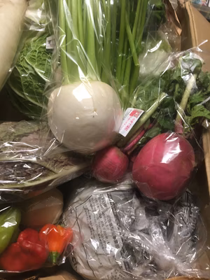 みんなの投稿の画像