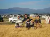 11人家族が育てる自然栽培の長尾米　受賞歴あり