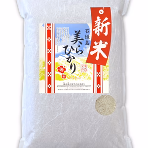 【新米】《白米》残留農薬不検出 石垣島産 ちゅらひかり 令和7年産