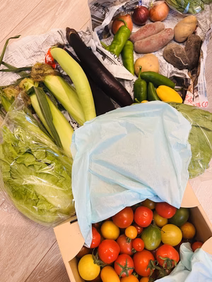 みんなの投稿の画像