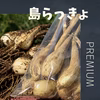 【期間限定】胡瓜と茄子と島らっきょのセット　５ｋｇ