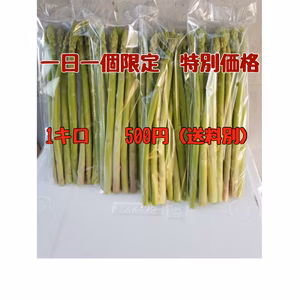 投稿お願いします　一日一個限定　　特別価格　1キロ　500円　送料別　