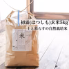 【令和元年新米】初霜(はつしも)玄米5kg 土と暮らす