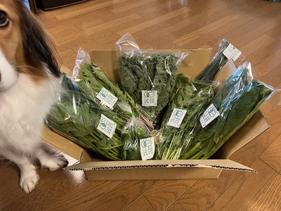 みんなの投稿の画像