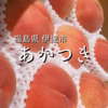 福島県産　あかつき（白桃）2.8kg