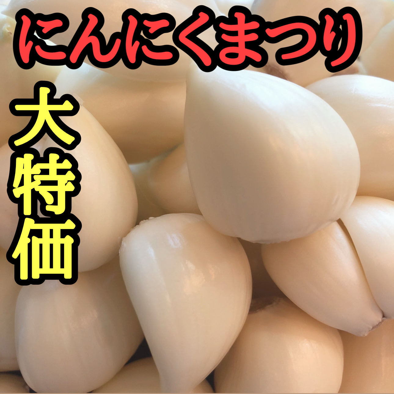 にんにく種 ニンニク 白玉王 20キロ残りわずか！ 【公式通販】