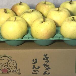 【予約販売】「甘ぁ～い(*´∀｀)」トキ　家庭用約3Kg【減農薬栽培】