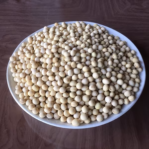 ＜自然栽培＞　大豆（もち大豆）５００ｇ　令和４年産　自然乾燥　岐阜県産