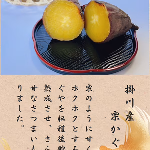 熟成栗かぐや【訳あり】9kg