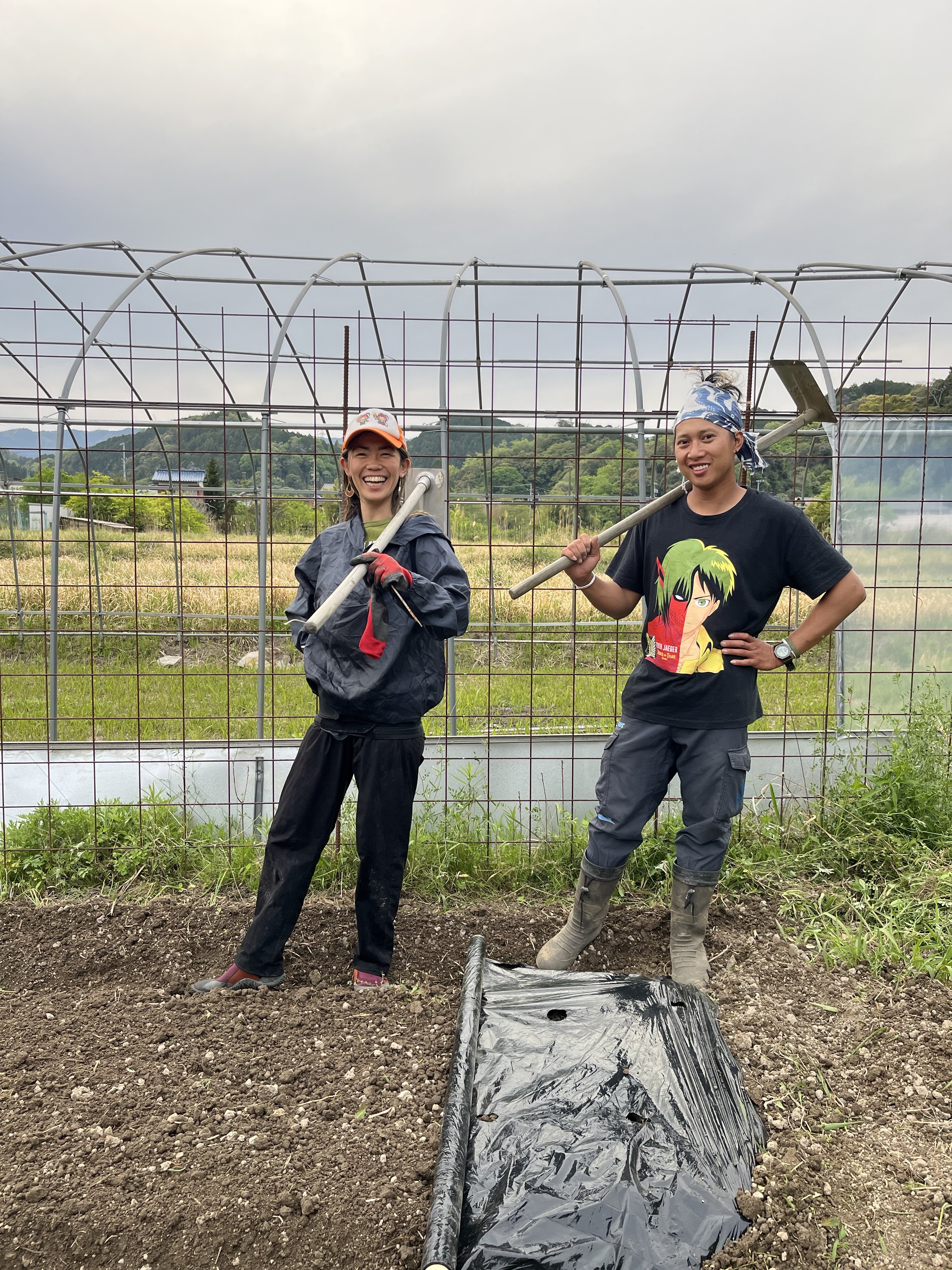空芯菜の通販・お取り寄せ商品｜野菜｜ポケットマルシェ｜産地直送で旬