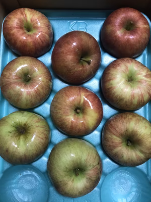 みんなの投稿の画像