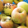 大人気！【つがる】家庭用訳あり規格/特別栽培/ネオニコ系農薬不使用/冷蔵便