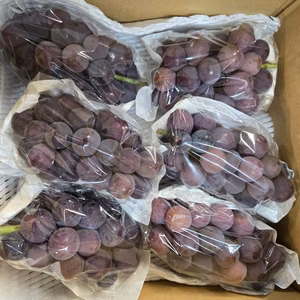 訳あり　種なし巨峰3kg