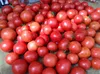 農薬・化学肥料不使用　大玉トマト＆ミニトマト 各2kg（クール便）