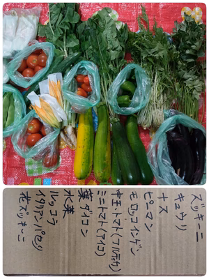 みんなの投稿の画像