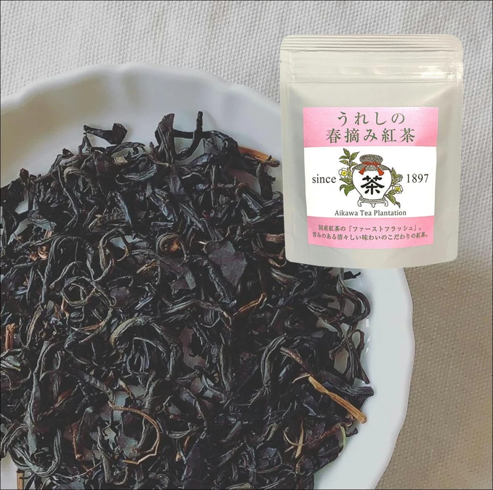 うれしの春摘み紅茶ティーパック20ｇ（2ｇ×10）　　