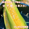 島育ちの口いっぱいに広がる甘い幸せ♪特選 とうもろこし 甘々娘　５本入り
