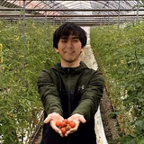 横尾晋平