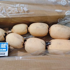 《COOL》部位による違いが楽しめるサイズ『れんこん』2kg