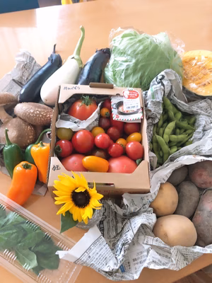 みんなの投稿の画像