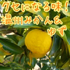 くせになる味！温州みかん＆ゆず