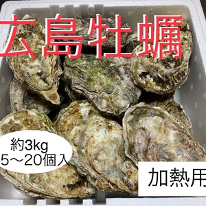広島かき　殻付き牡蠣　3kg 15〜20個入
