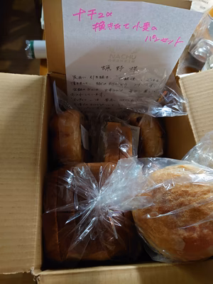 みんなの投稿の画像