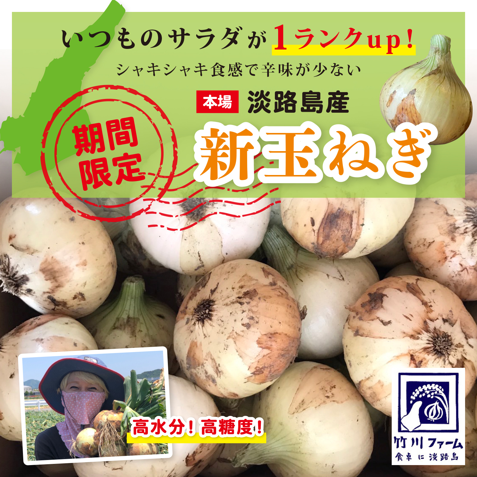 新玉令和6年淡路島産極早生新玉ねぎ 品種 スーパーアップ 10キロ｜野菜