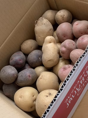 みんなの投稿の画像