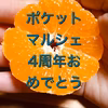 ポケットマルシェ4周年おめでとう！400gおまけ付き青島みかん