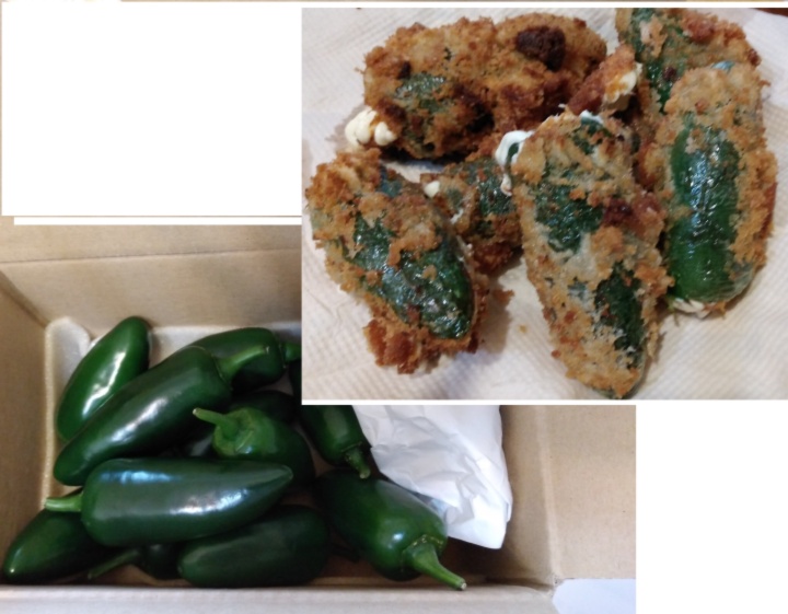 ハラペーニョ １kg 約３３ ４０個 大きさにより個数が変わります 農家漁師から産地直送の通販 ポケットマルシェ