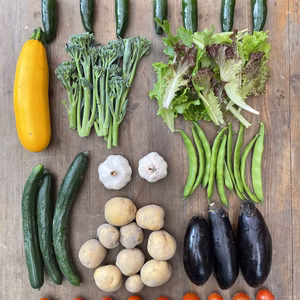 【有機】季節の野菜セット【約8品目】